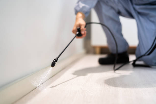 Licensed Termite Control service in James Island, SC - Nex Pest Control