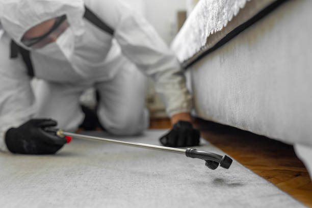 Professional Termite Control technician working in James Island, SC