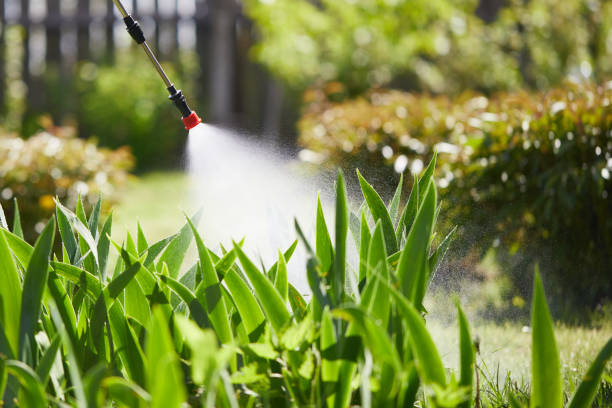 24/7 Emergency Termite Control experts in James Island, SC