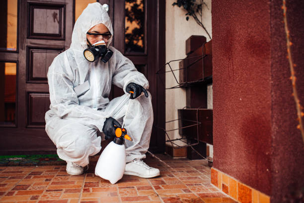 Reliable Termite Control contractor in James Island, SC by Nex Pest Control