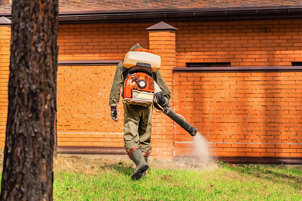 Trusted Termite Control service in James Island, SC - Nex Pest Control